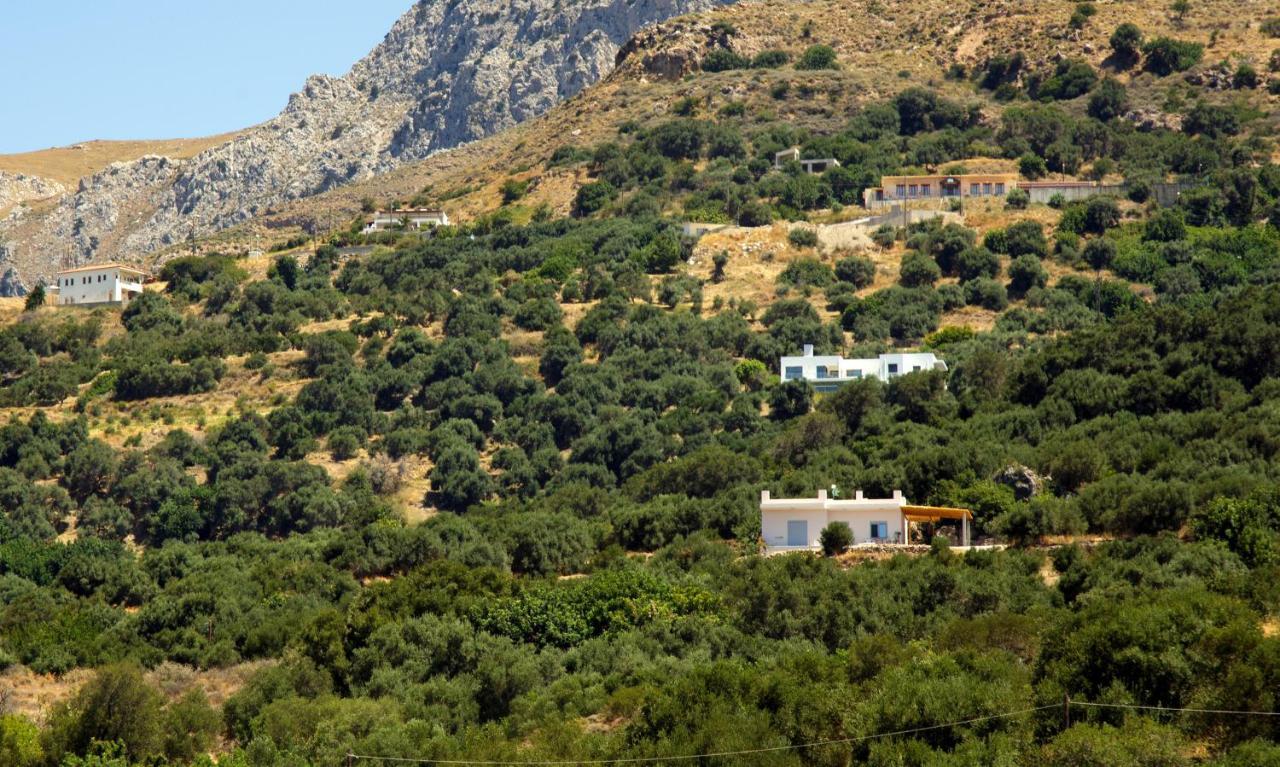 Almond Cottage With A Sea View Above Плакиас Экстерьер фото